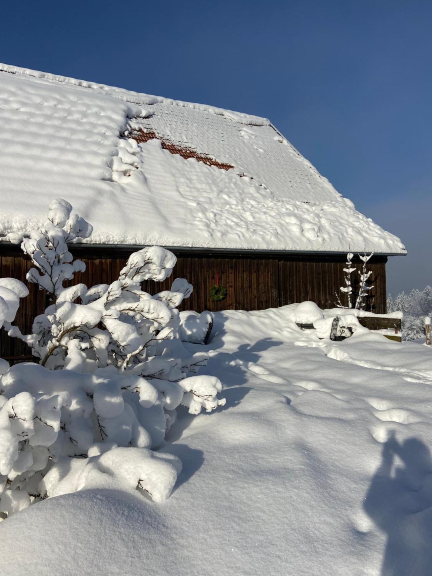 Allgaeu Cottage - Traumhafter Blick In Die Schweizer Berge Weiler-Simmerberg Exteriör bild